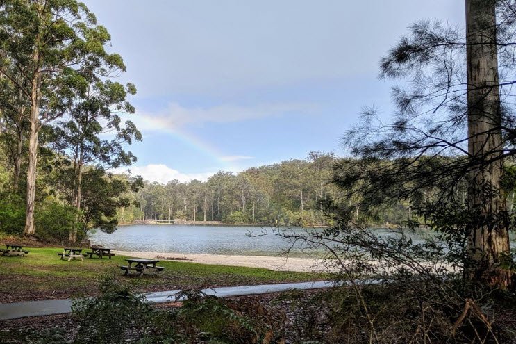 Big Brook Arboretum, Australia